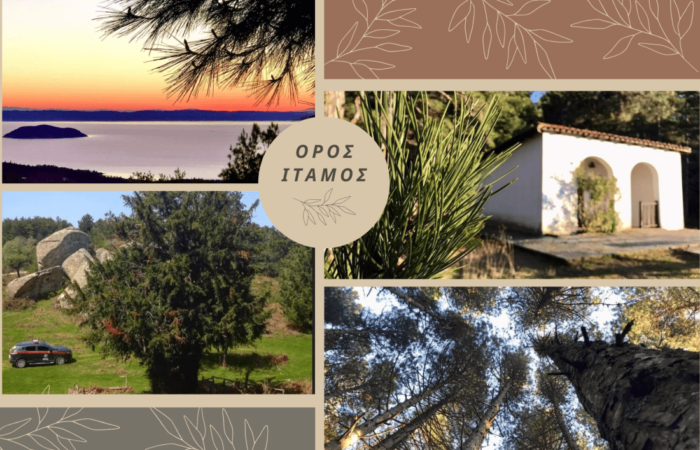 oros-itamos-chalkidiki-sithoniapng