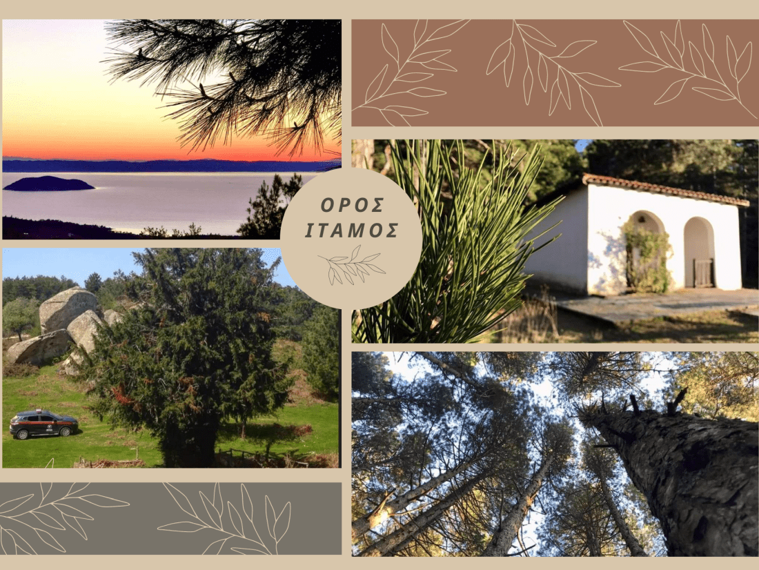 oros-itamos-chalkidiki-sithoniapng